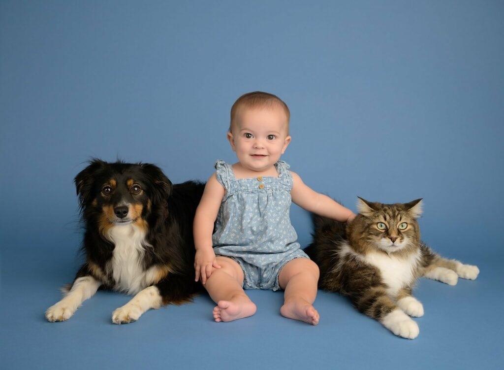 Sitting baby with their pet dog and cat. The baby's hand is on the cat.